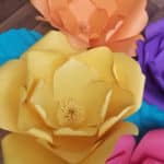 colorful Mexican flowers